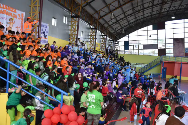 Aniversario de la escuela