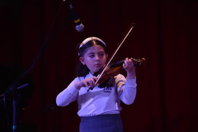 Taller de cuerdas - violín